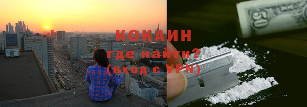 крисы Баксан